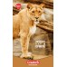 Creators Longsize Notebook