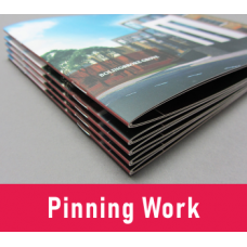 Pinning